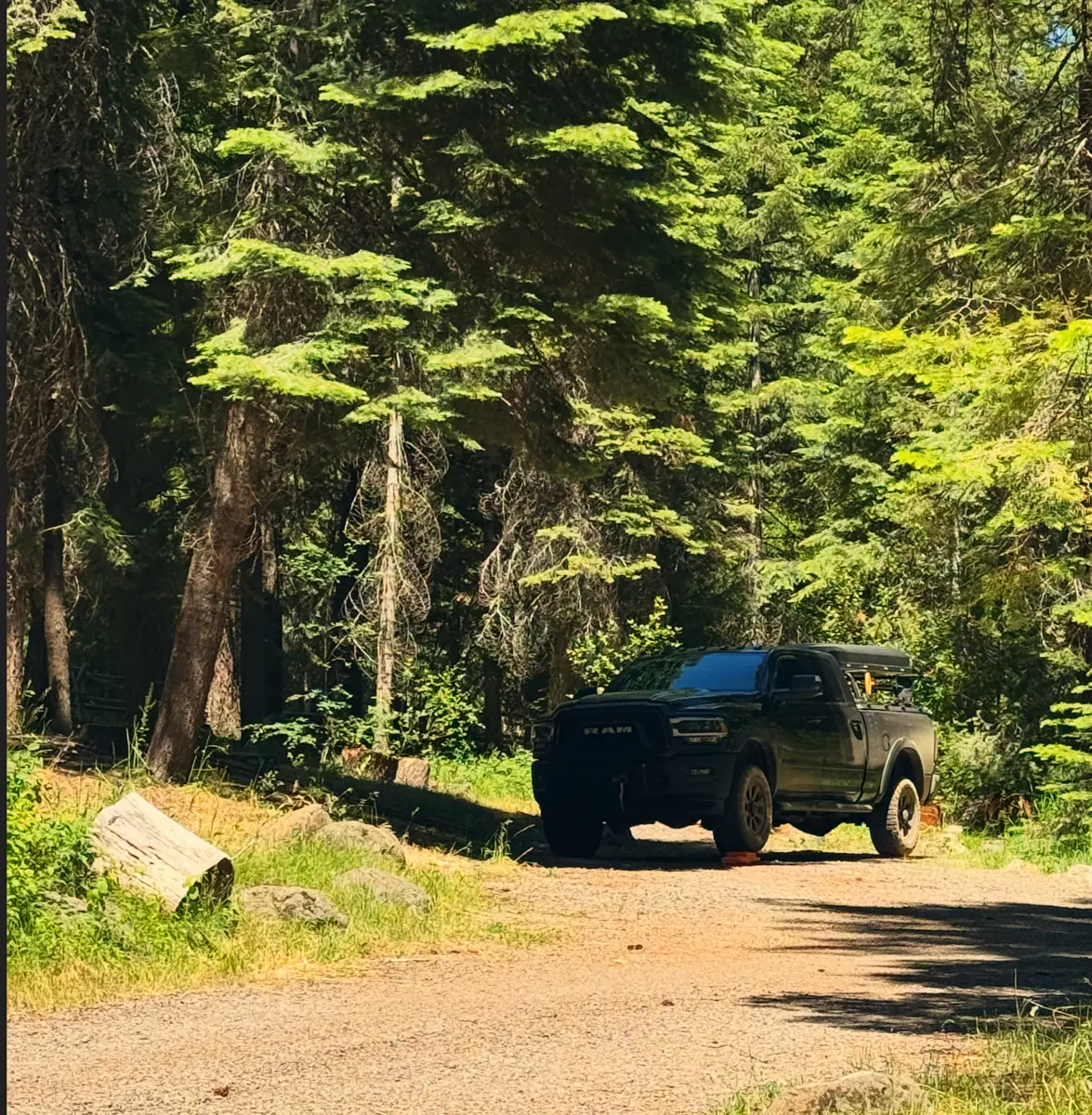 Chad's black pickup parked on a gravel forest road under tall firs